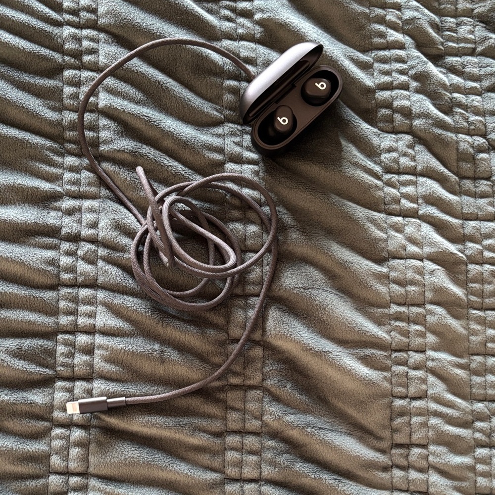 Beats by Dre Charcoal Earbud Headphones